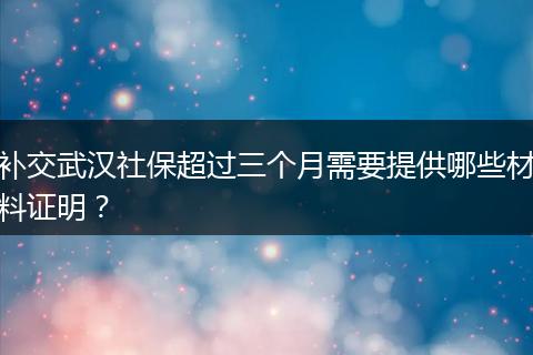 补交武汉社保超过三个月需要提供哪些材料证明？