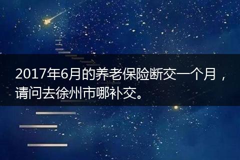 2017年6月的养老保险断交一个月，请问去徐州市哪补交。