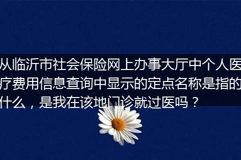 从临沂市社会保险网上办事大厅中个人医疗费用信息查询中显示的定点名称是指的什么，是我在该地门诊就过医吗？