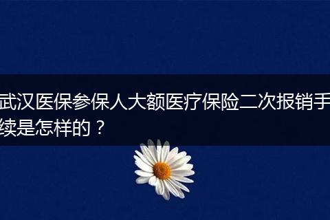 武汉医保参保人大额医疗保险二次报销手续是怎样的？