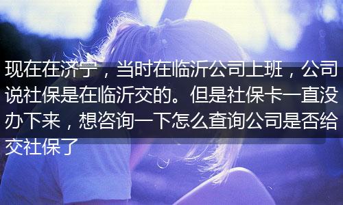 现在在济宁，当时在临沂公司上班，公司说社保是在临沂交的。但是社保卡一直没办下来，想咨询一下怎么查询公司是否给交社保了