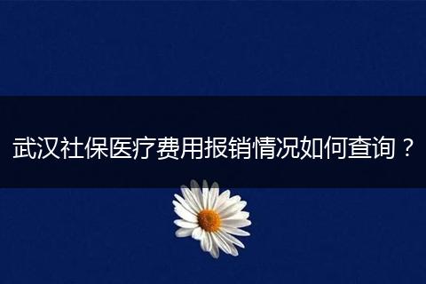 武汉社保医疗费用报销情况如何查询？