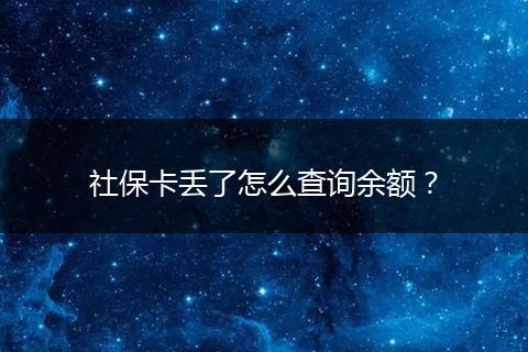 社保卡丢了怎么查询余额？