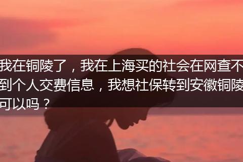 我在铜陵了，我在上海买的社会在网查不到个人交费信息，我想社保转到安徽铜陵可以吗？