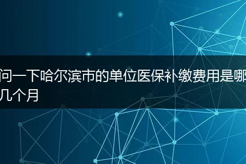 问一下哈尔滨市的单位医保补缴费用是哪几个月