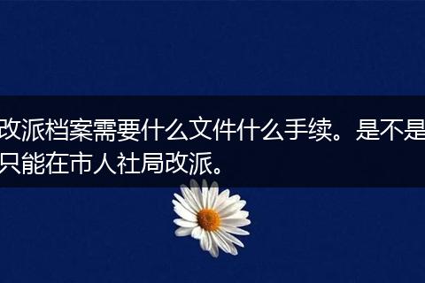 改派档案需要什么文件什么手续。是不是只能在市人社局改派。