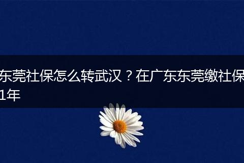 东莞社保怎么转武汉？在广东东莞缴社保1年