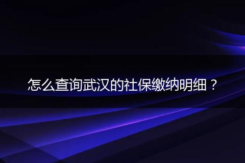 怎么查询武汉的社保缴纳明细？