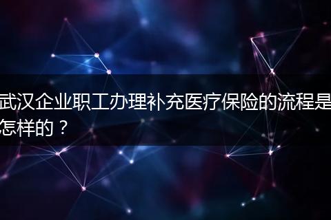 武汉企业职工办理补充医疗保险的流程是怎样的？