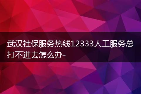 武汉社保服务热线12333人工服务总打不进去怎么办-