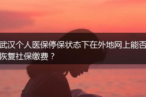 武汉个人医保停保状态下在外地网上能否恢复社保缴费？