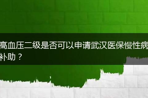 高血压二级是否可以申请武汉医保慢性病补助？