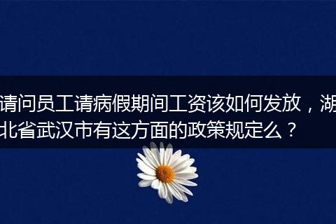 请问员工请病假期间工资该如何发放，湖北省武汉市有这方面的政策规定么？