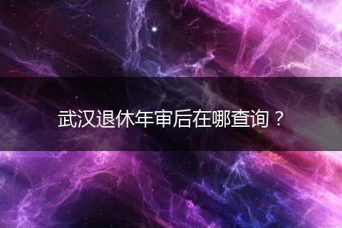 武汉退休年审后在哪查询？