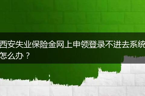 西安失业保险金网上申领登录不进去系统怎么办？