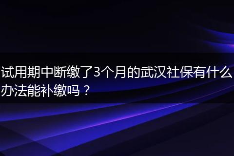 试用期中断缴了3个月的武汉社保有什么办法能补缴吗？