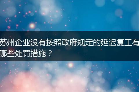 苏州企业没有按照政府规定的延迟复工有哪些处罚措施？