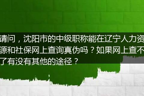 请问，沈阳市的中级职称能在辽宁人力资源和社保网上查询真伪吗？如果网上查不了有没有其他的途径？