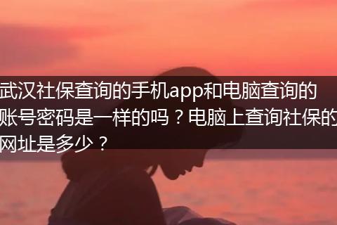 武汉社保查询的手机app和电脑查询的账号密码是一样的吗？电脑上查询社保的网址是多少？