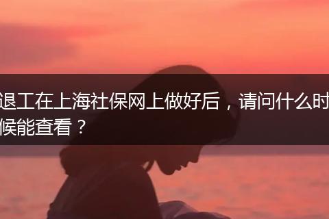 退工在上海社保网上做好后，请问什么时候能查看？