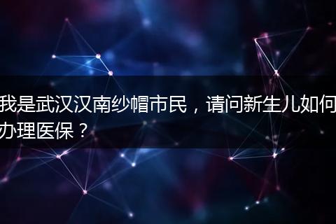 我是武汉汉南纱帽市民，请问新生儿如何办理医保？