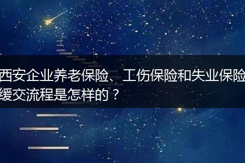 西安企业养老保险、工伤保险和失业保险缓交流程是怎样的？