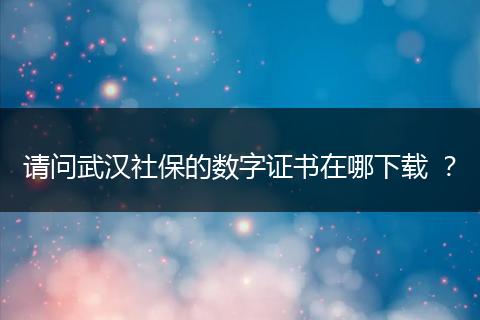 请问武汉社保的数字证书在哪下载 ？