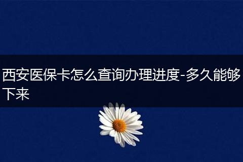 西安医保卡怎么查询办理进度-多久能够下来