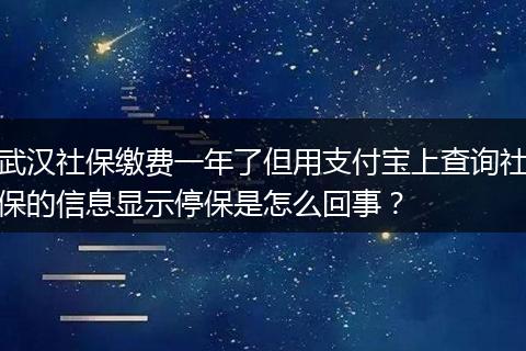 武汉社保缴费一年了但用支付宝上查询社保的信息显示停保是怎么回事？