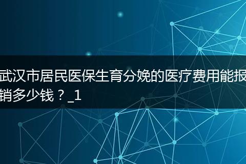 武汉市居民医保生育分娩的医疗费用能报销多少钱？_1