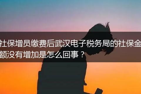 社保增员缴费后武汉电子税务局的社保金额没有增加是怎么回事？
