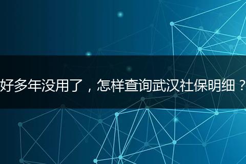 好多年没用了，怎样查询武汉社保明细？