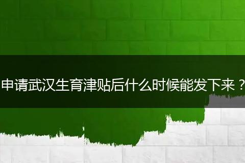 申请武汉生育津贴后什么时候能发下来?