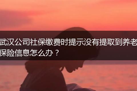 武汉公司社保缴费时提示没有提取到养老保险信息怎么办？