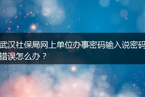 武汉社保局网上单位办事密码输入说密码错误怎么办？