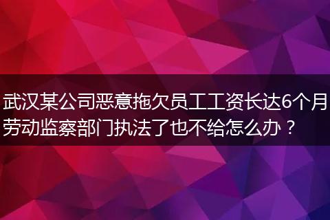 武汉某公司恶意拖欠员工工资长达6个月劳动监察部门执法了也不给怎么办？