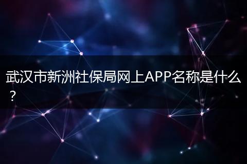 武汉市新洲社保局网上APP名称是什么？
