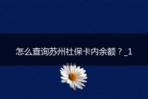 怎么查询苏州社保卡内余额？_1