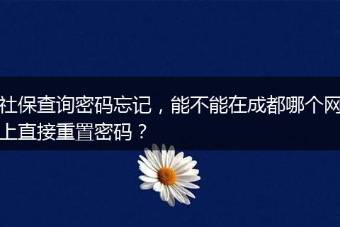 社保查询密码忘记，能不能在成都哪个网上直接重置密码？