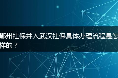 鄂州社保并入武汉社保具体办理流程是怎样的？