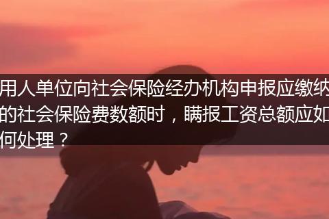用人单位向社会保险经办机构申报应缴纳的社会保险费数额时，瞒报工资总额应如何处理？