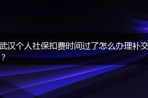 武汉个人社保扣费时间过了怎么办理补交？