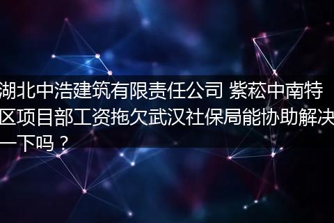 湖北中浩建筑有限责任公司 紫菘中南特区项目部工资拖欠武汉社保局能协助解决一下吗？