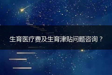 生育医疗费及生育津贴问题咨询?