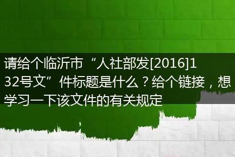 请给个临沂市“人社部发[2016]132号文”件标题是什么？给个链接，想学习一下该文件的有关规定