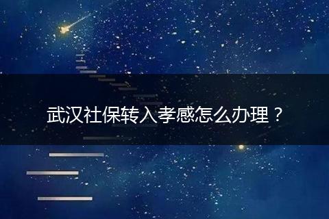 武汉社保转入孝感怎么办理？