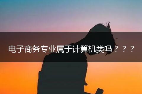 电子商务专业属于计算机类吗？？？