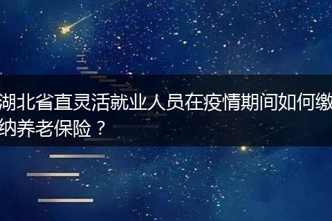 湖北省直灵活就业人员在疫情期间如何缴纳养老保险？