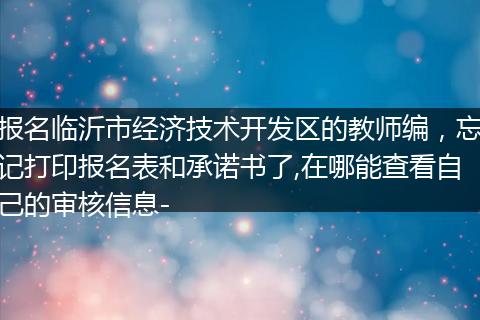 报名临沂市经济技术开发区的教师编，忘记打印报名表和承诺书了,在哪能查看自己的审核信息-