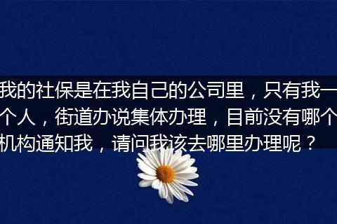 我的社保是在我自己的公司里，只有我一个人，街道办说集体办理，目前没有哪个机构通知我，请问我该去哪里办理呢？